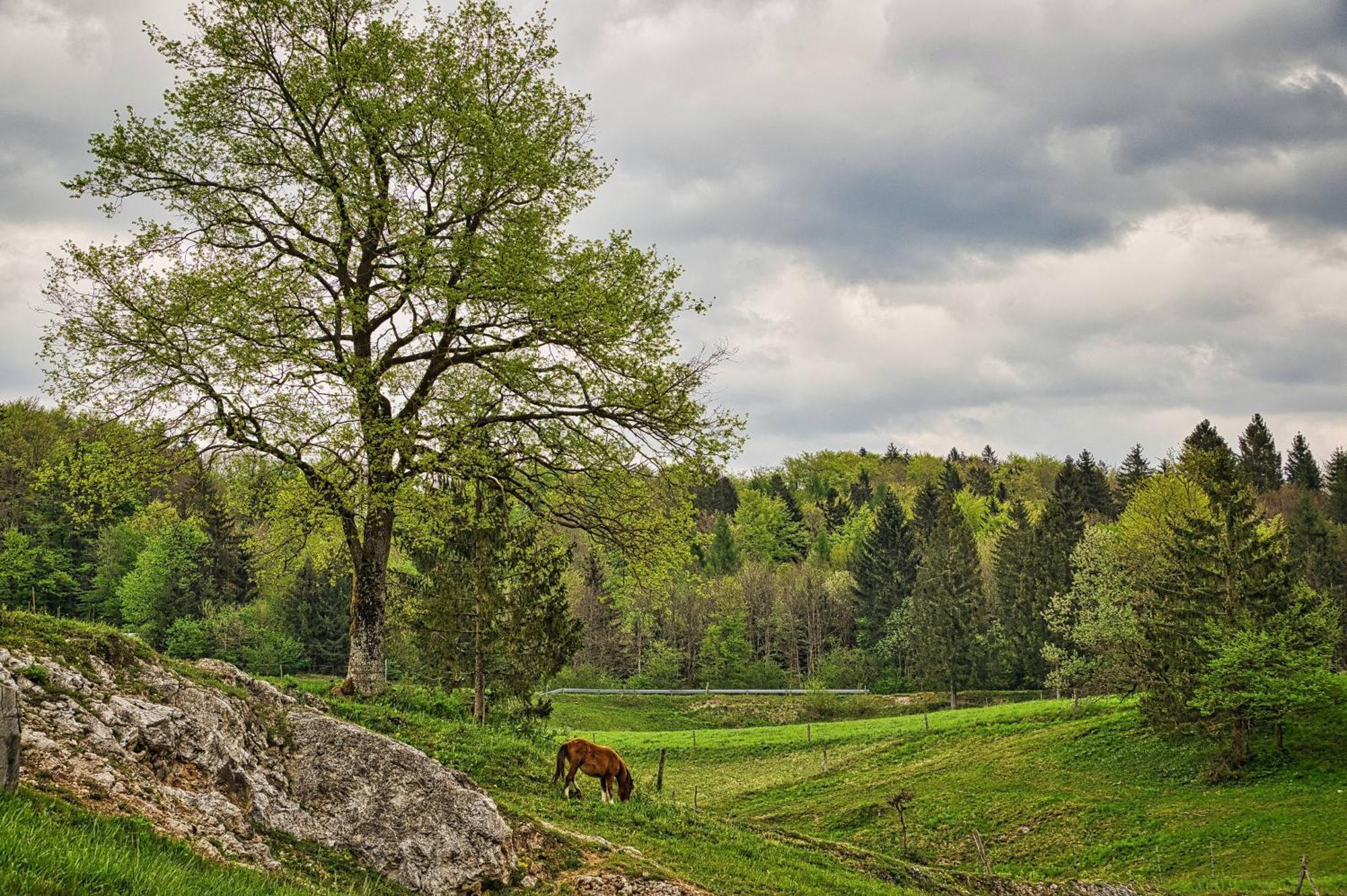 Cowboy'S Land Hotell Visnja Gora Eksteriør bilde